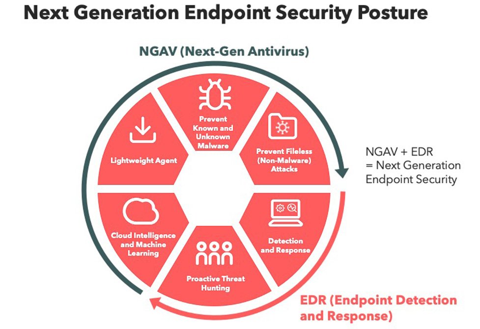 Endpoint Security - ERP SOFTWARE MANAGEMENT - Managed Security Service